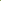 Elephant-Bush-Care-Common-Issues-and-Key-Tips