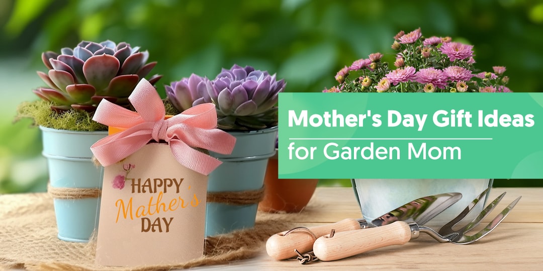 http://thenextgardener.com/cdn/shop/articles/mother_s-day-gift-ideas-for-garden-mom.jpg?v=1683551598