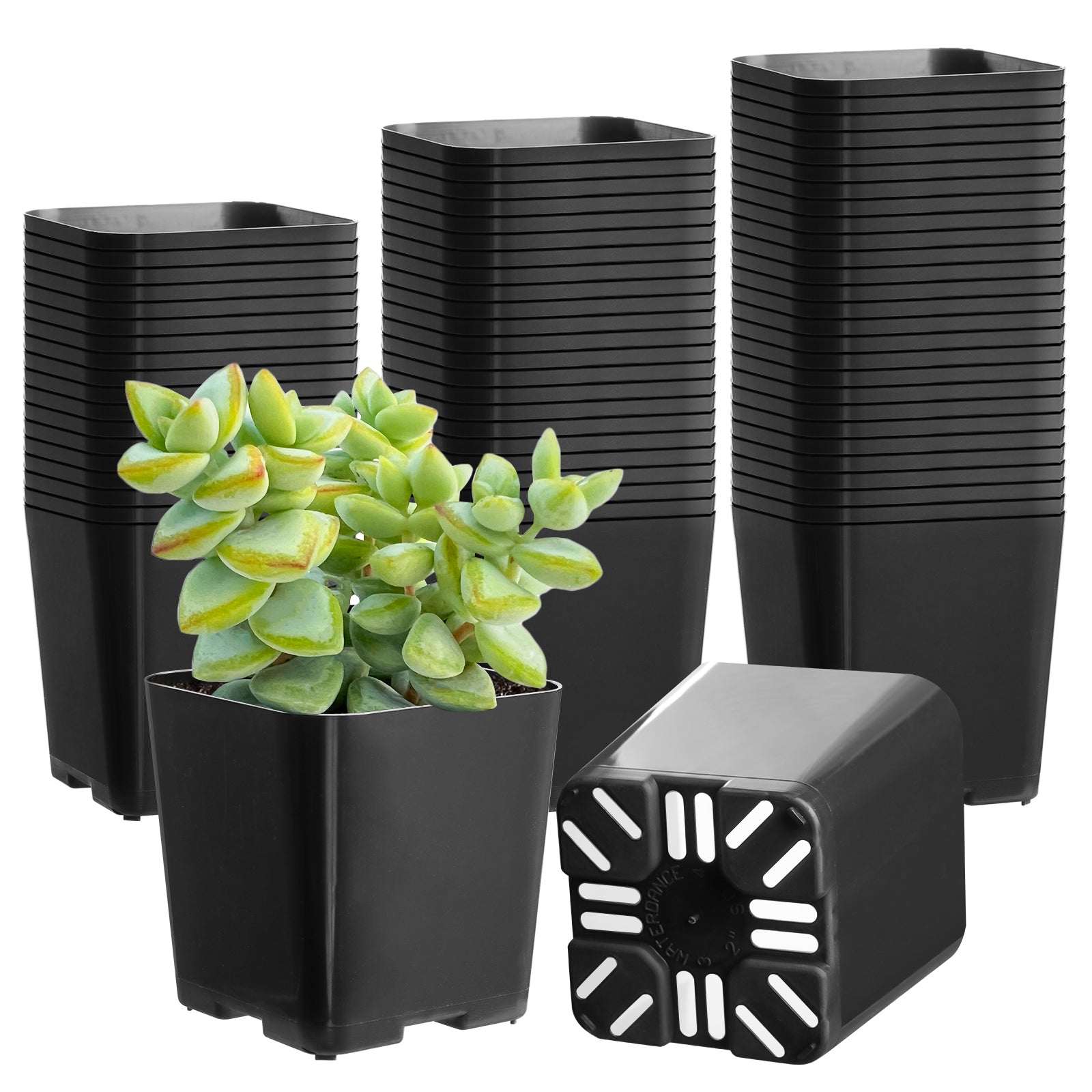 plastic starter plant pots 2" Nursery Pots Sets (Only Pots) 140 pcs