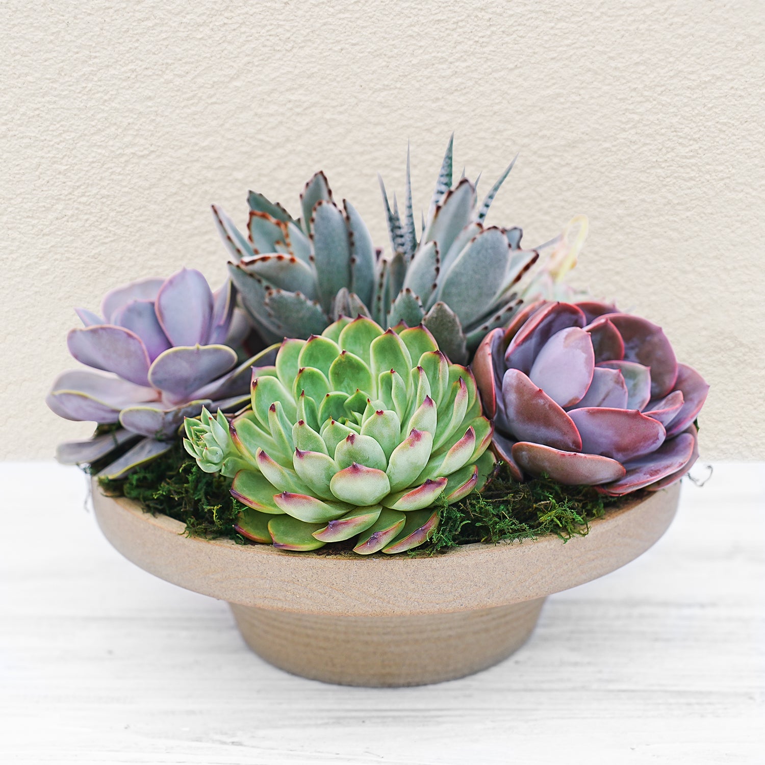 succulent bowl centerpiece 10" Succulent Centerpiece Table Decor, Ceramic Bowl