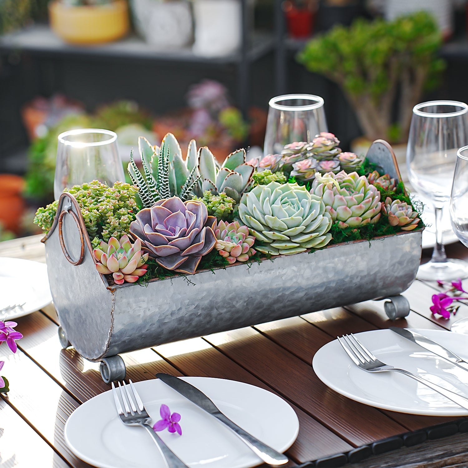 trough for succulents 14