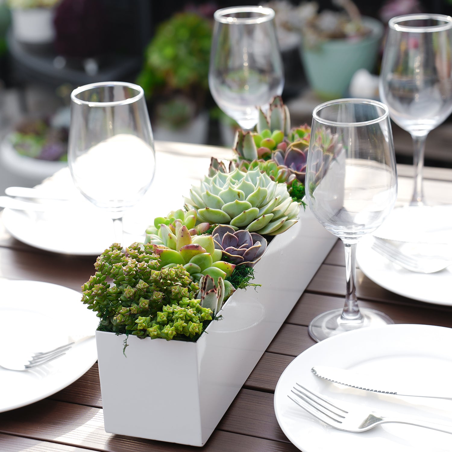 long white succulent planter 16'' Succulent Centerpiece Table Decor, White