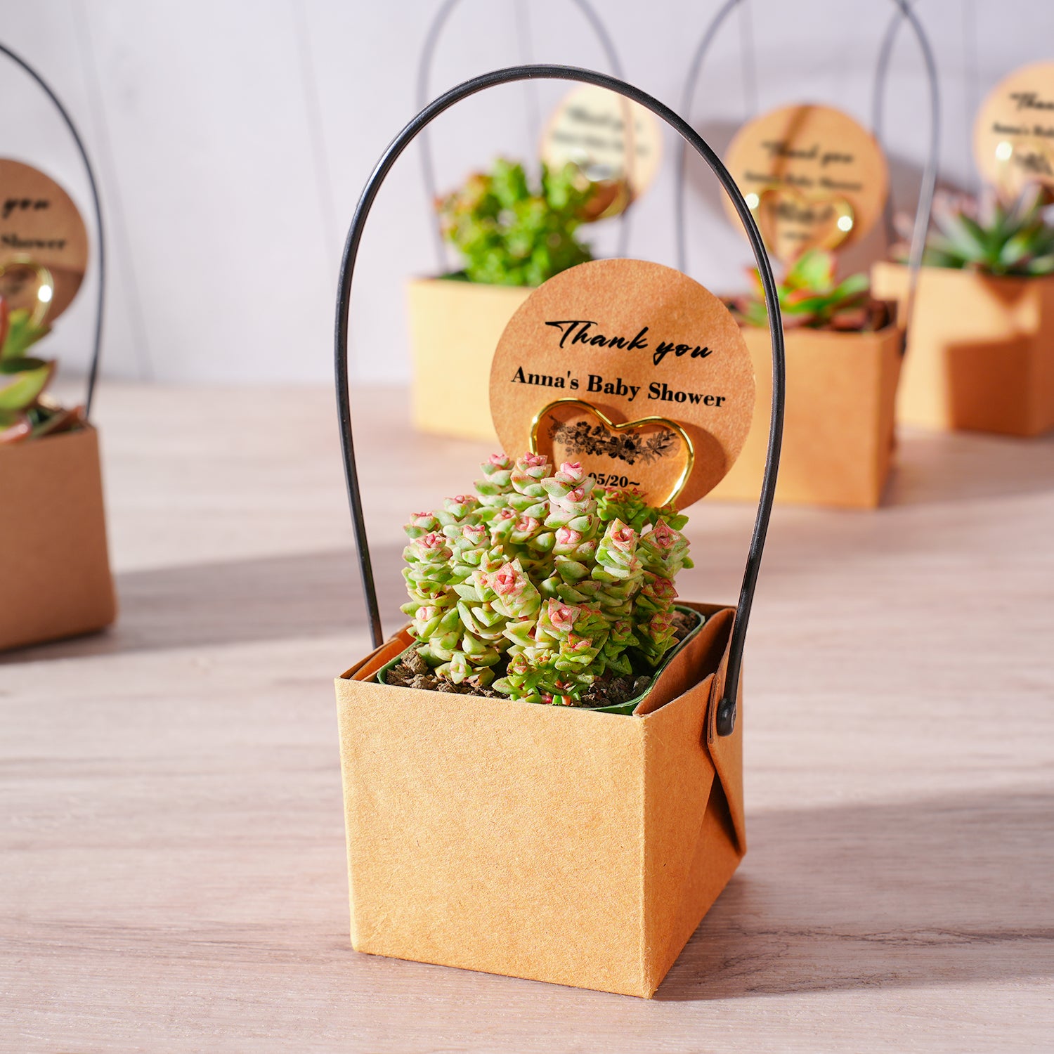 mail succulent gift Kraft Paper Succulent Favors