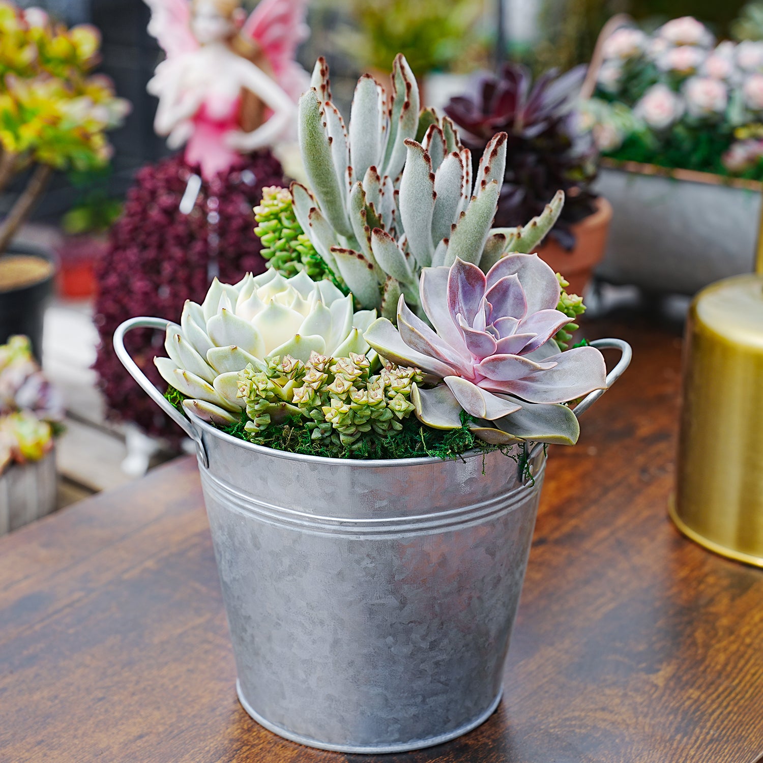 succulents centerpiece 6
