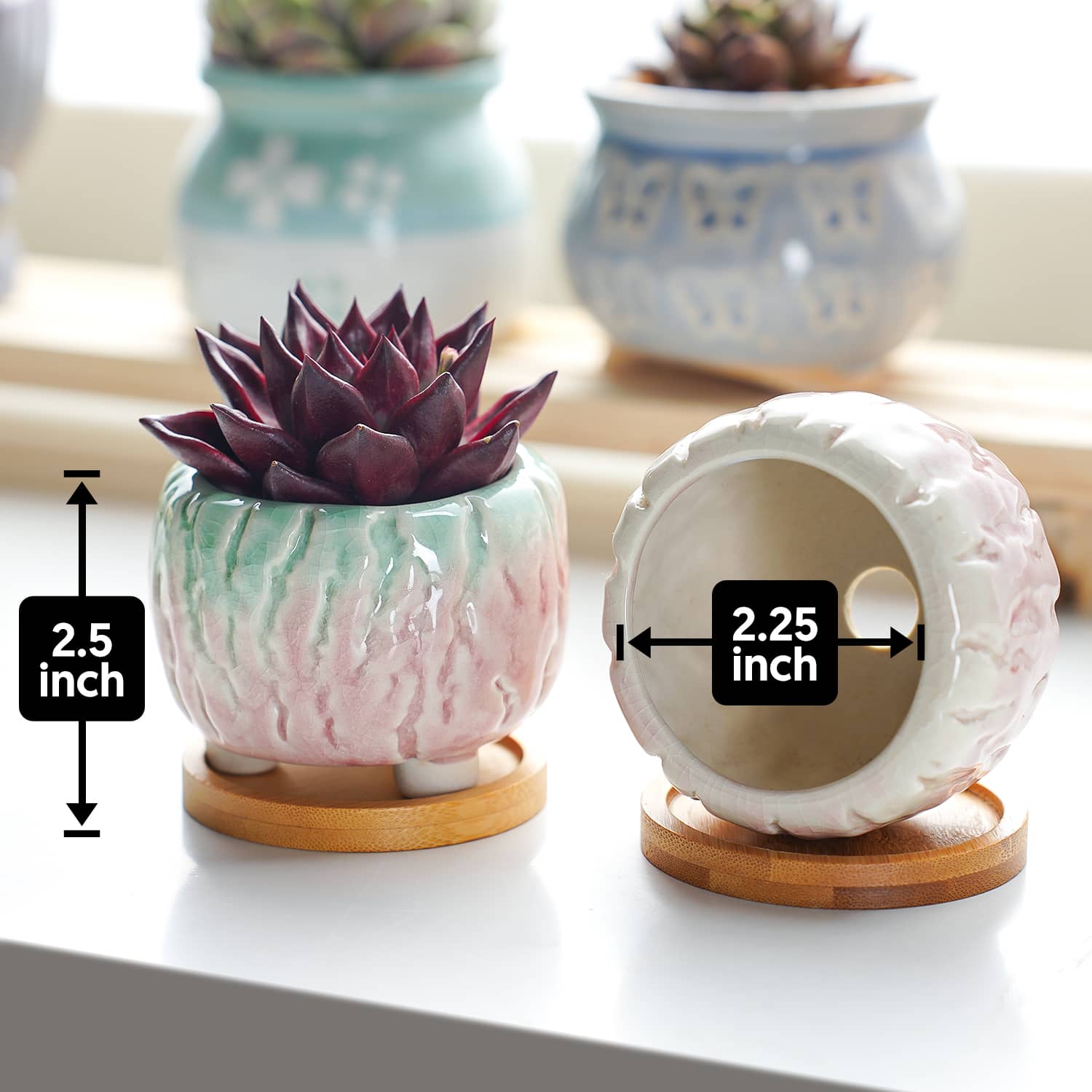 where to buy cute succulent pots Pink Cracked Succulent Pots