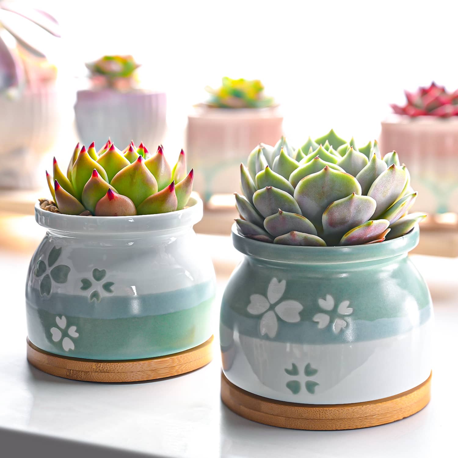 etsy succulent pots Cherry Blossoms Planter Pots