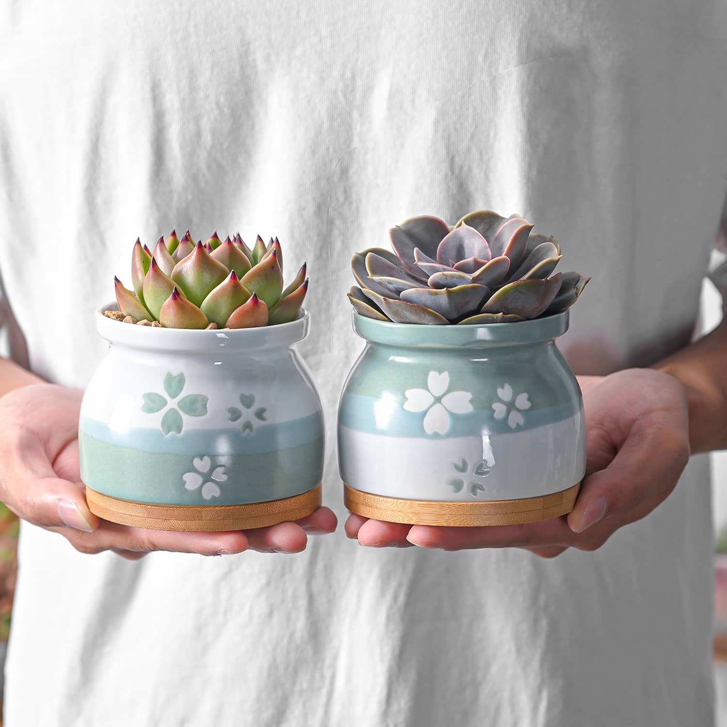 cherry blossom plant pot Cherry Blossoms Planter Pots
