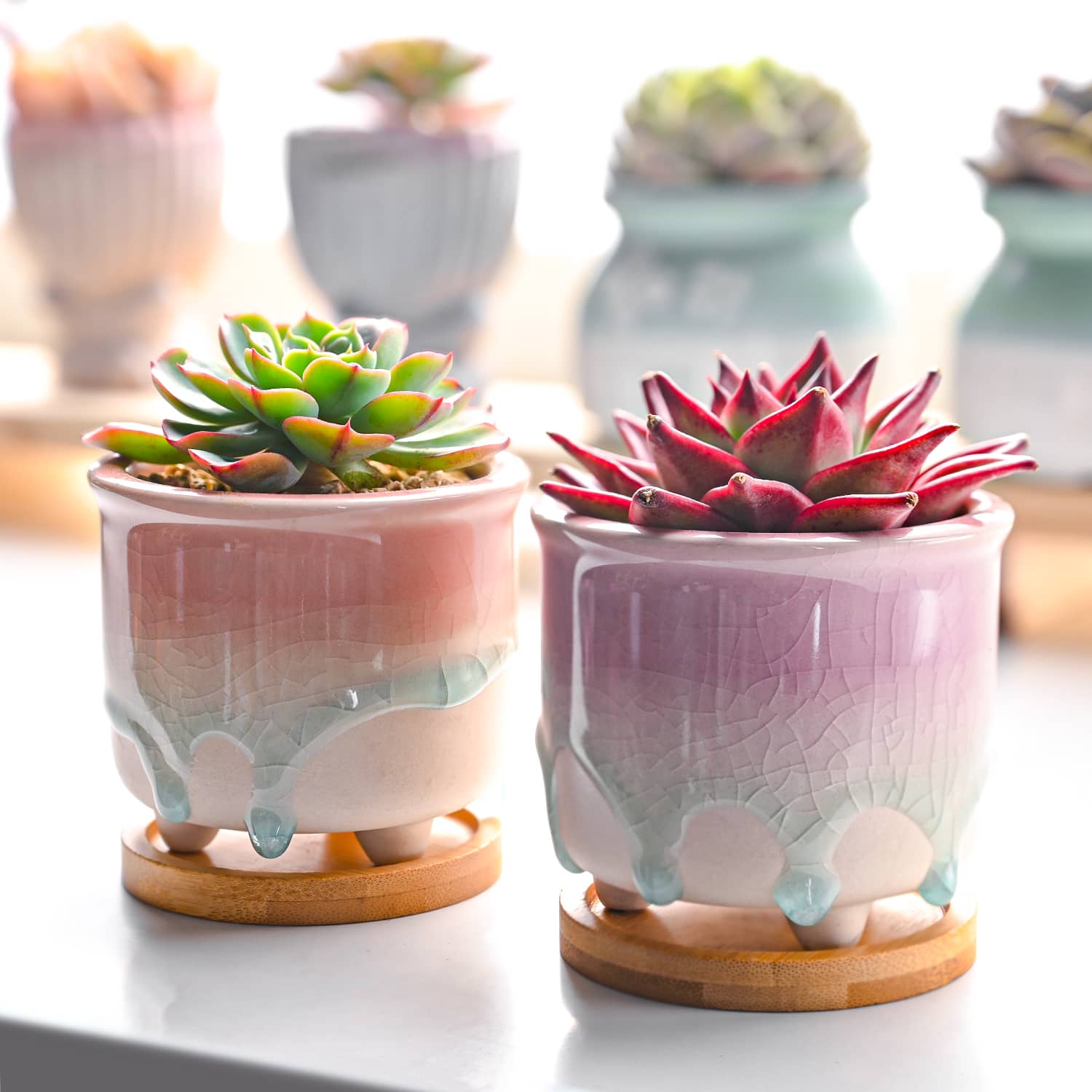 rainbow plant pot outdoor Rainbow Drip Glaze Planters