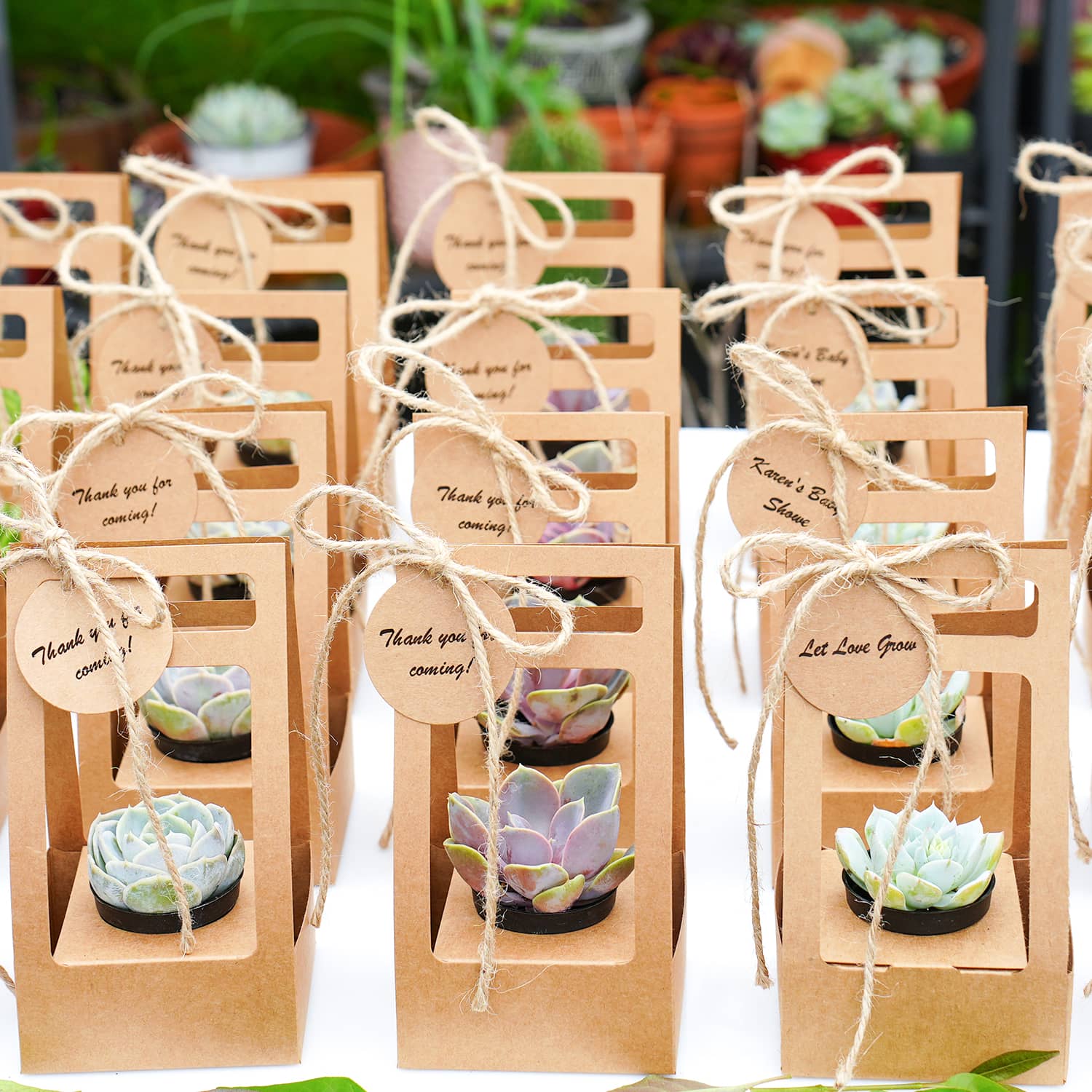 100 Succulent Wedding Favors Beachweddingtips 100 Succulent Wedding Favors Beachweddingtips