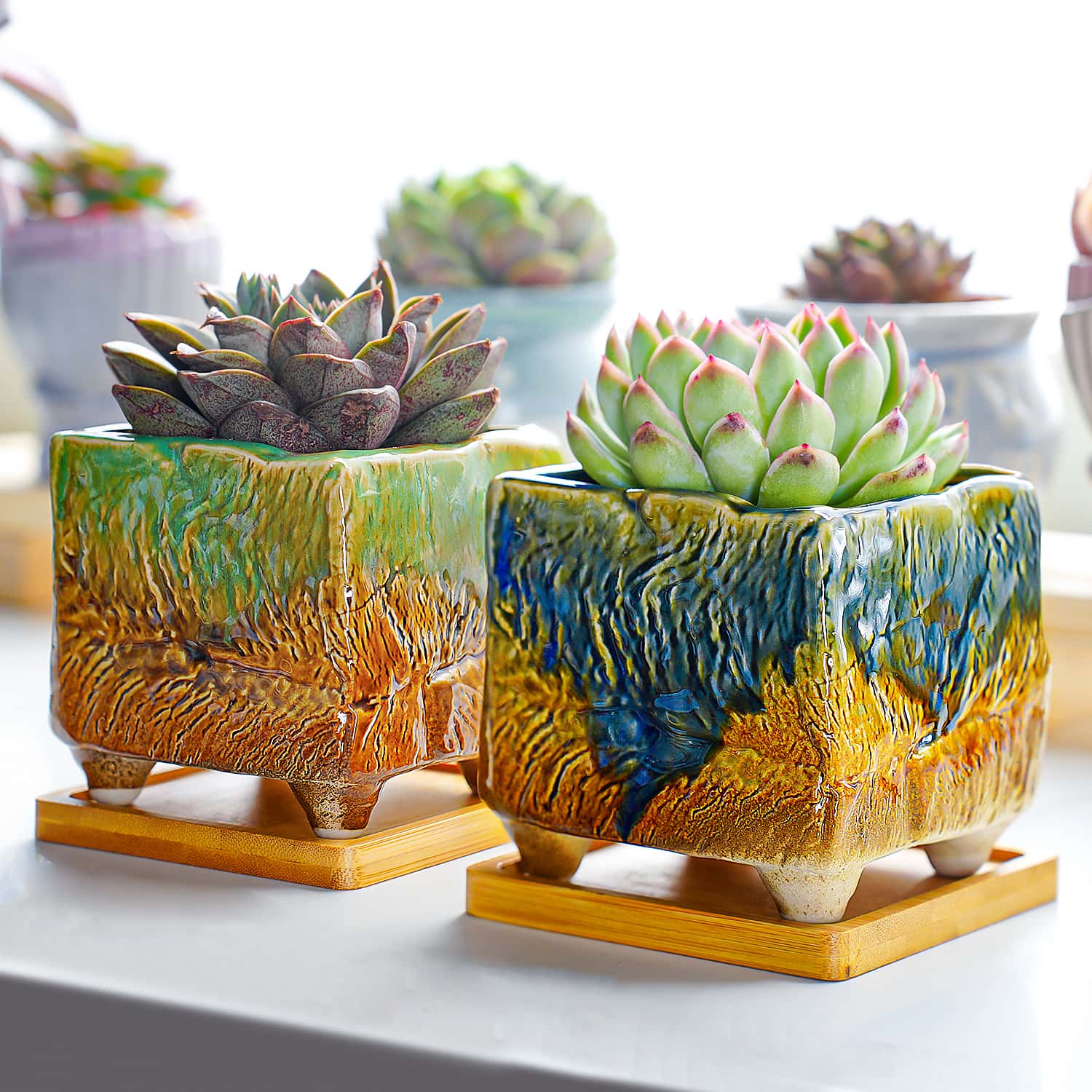 vintage succulent planters Vintage Oil Painting Square Planters