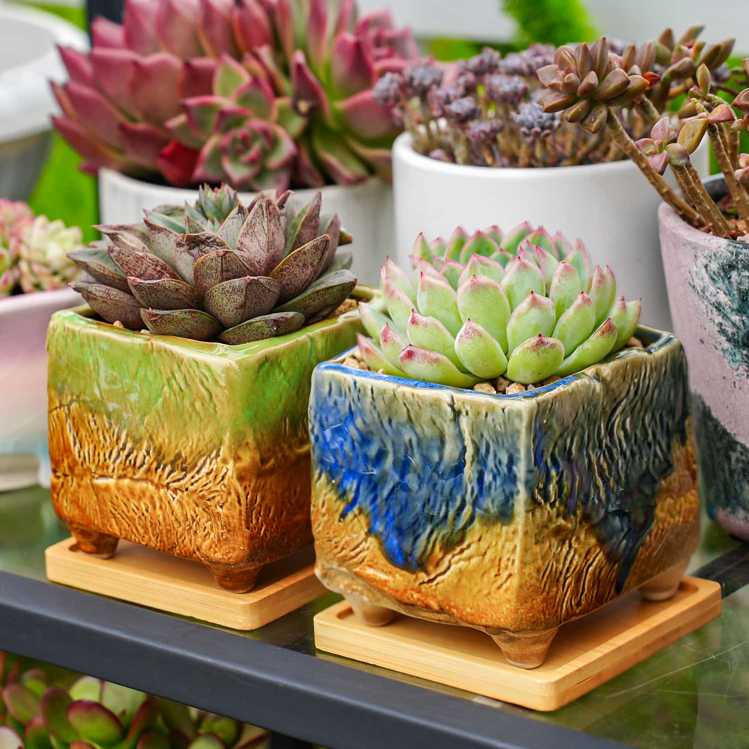 vintage succulent planters Vintage Oil Painting Square Planters