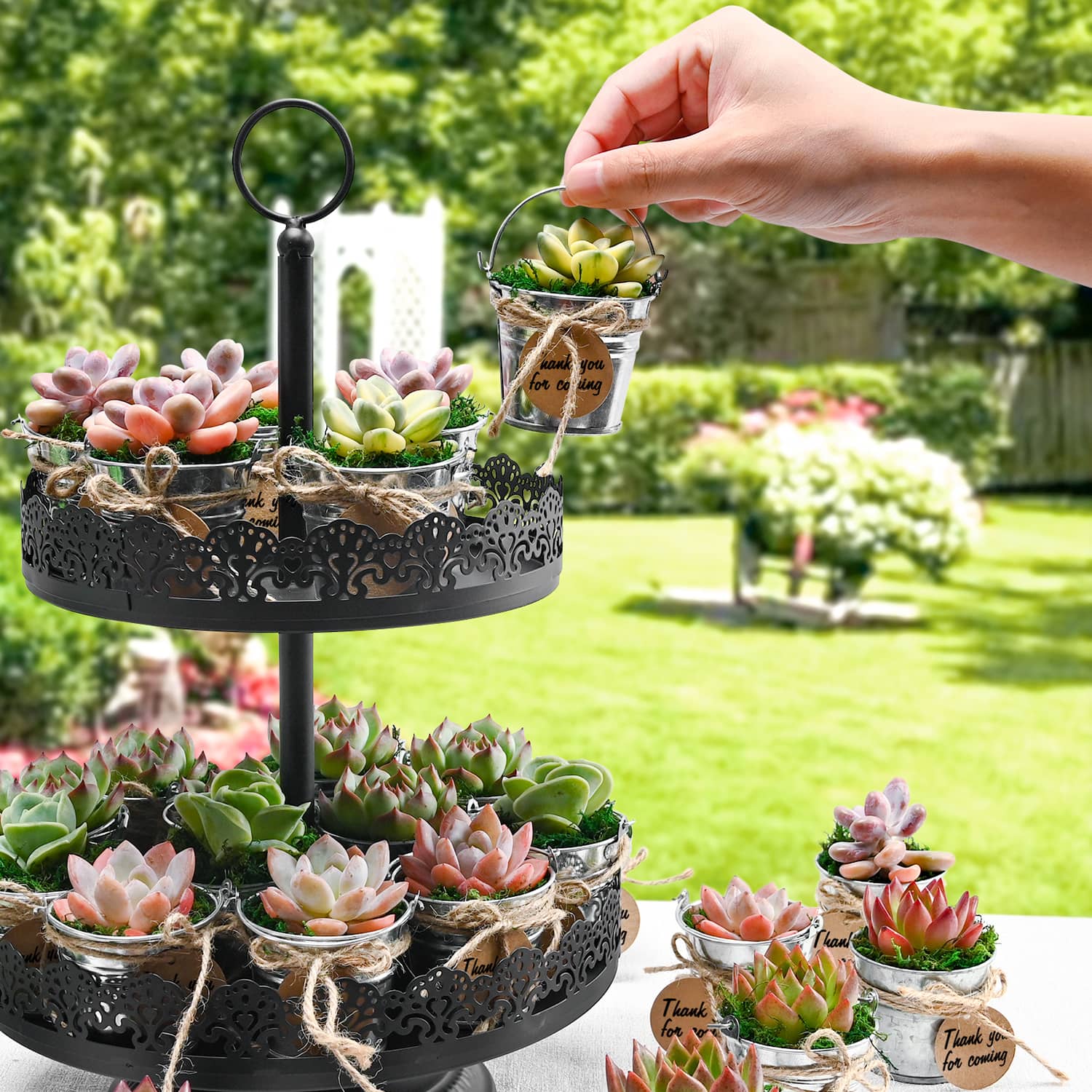 maris succulents and garden accessories Mini Classic Metal Bucket Succulent Favors (Tag Custom Supported)