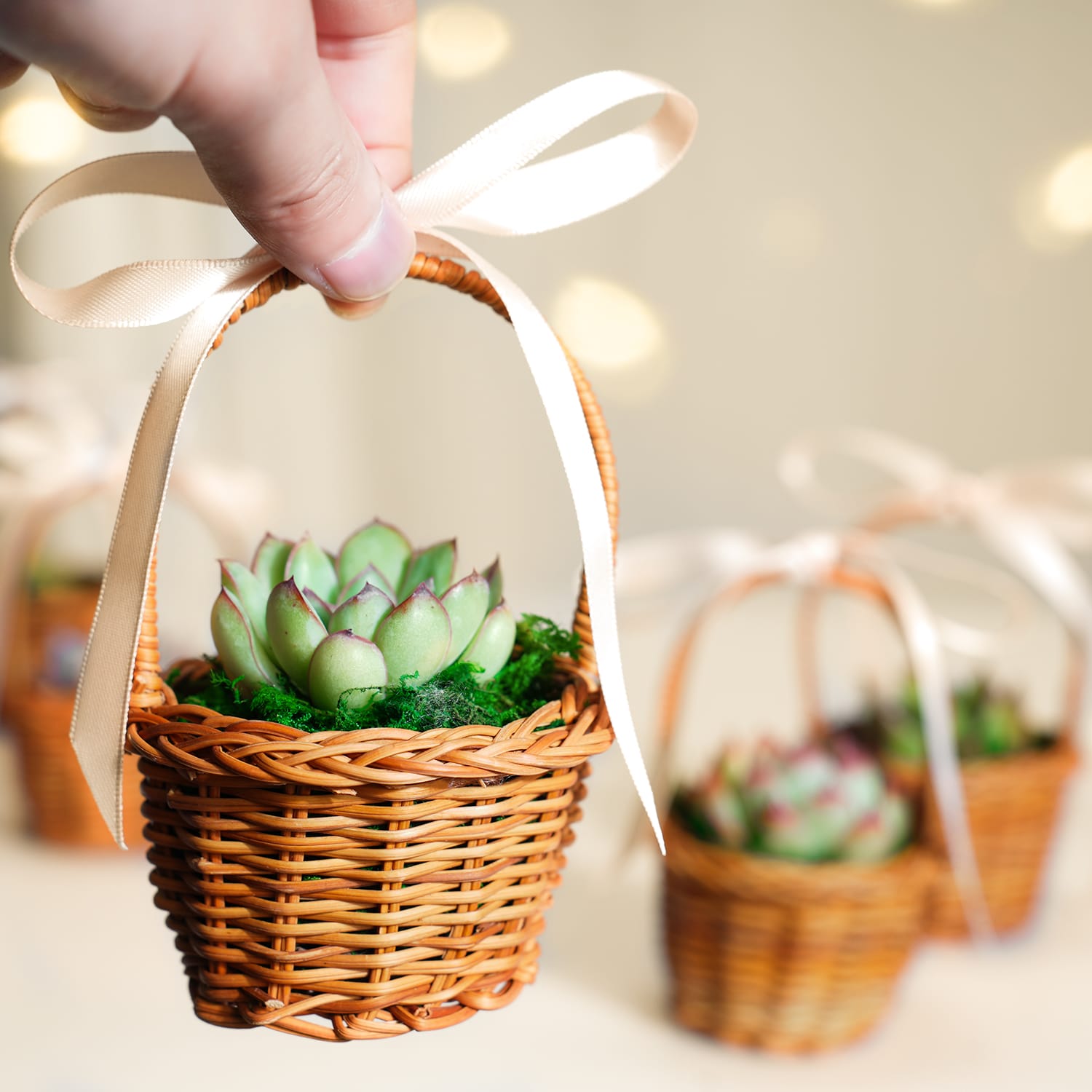 Nature Inspired Succulent Favor Mini Wicker Basket