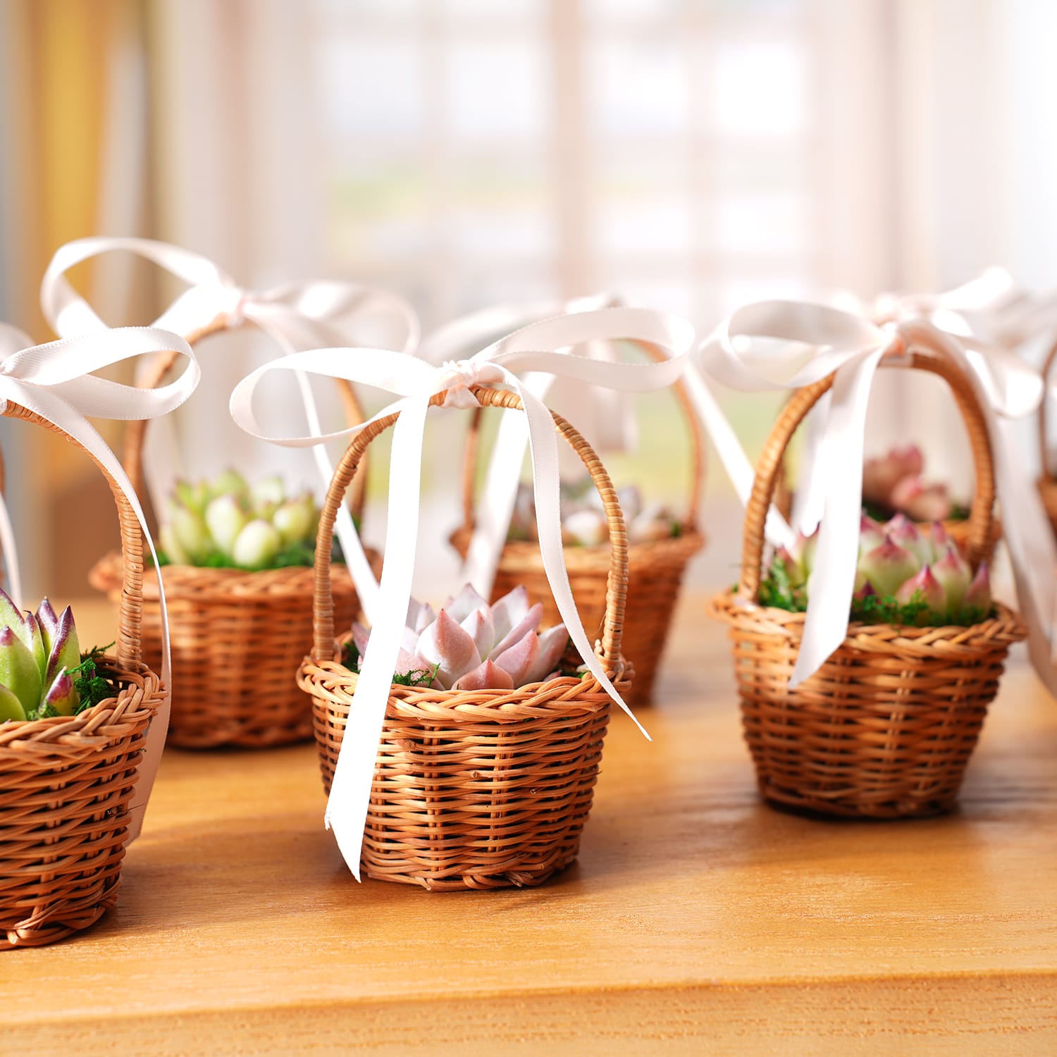 small woven baskets for plants Succulent Favors Nature Mini Baskets Handles