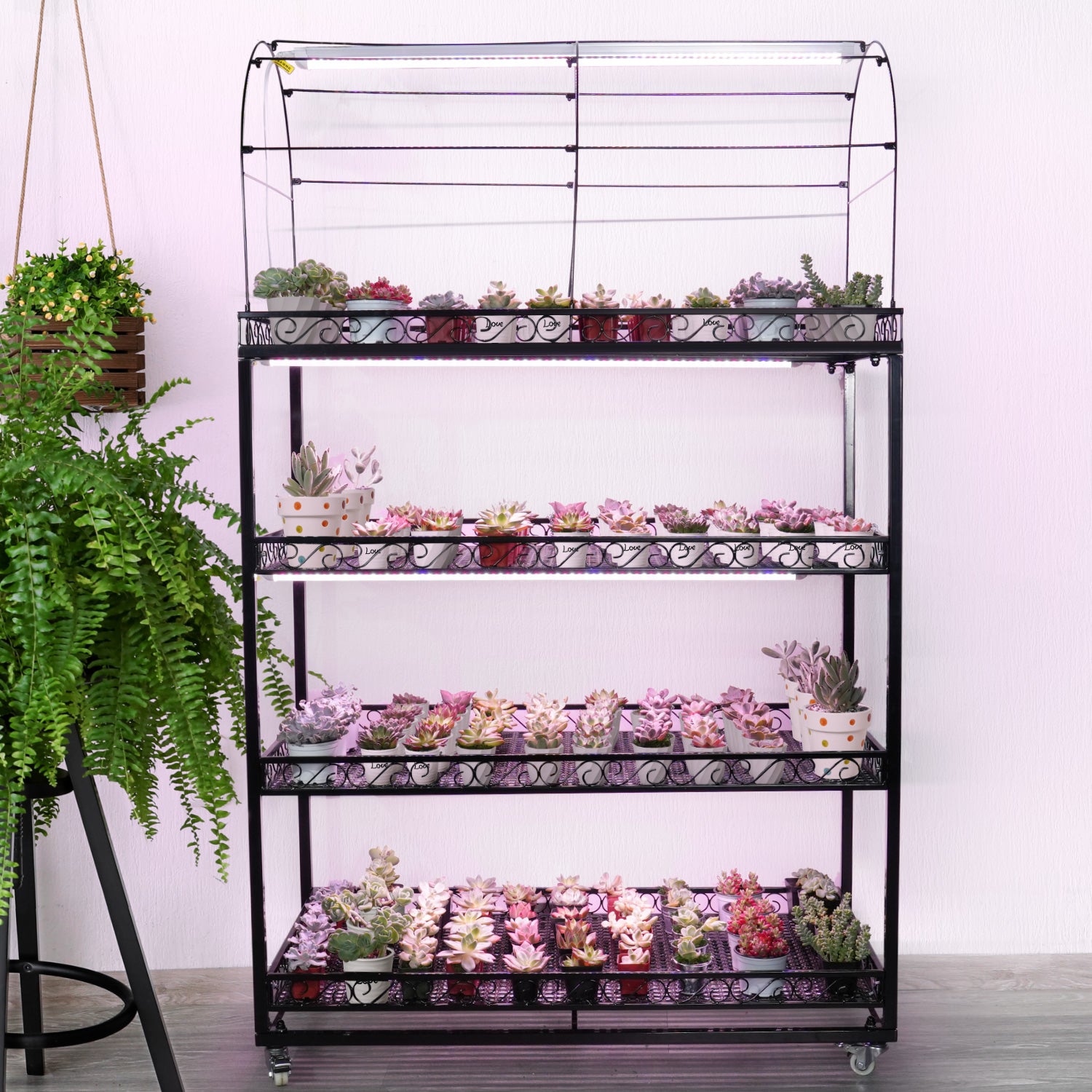 metal succulent planter Professional Succulent Metal Stand