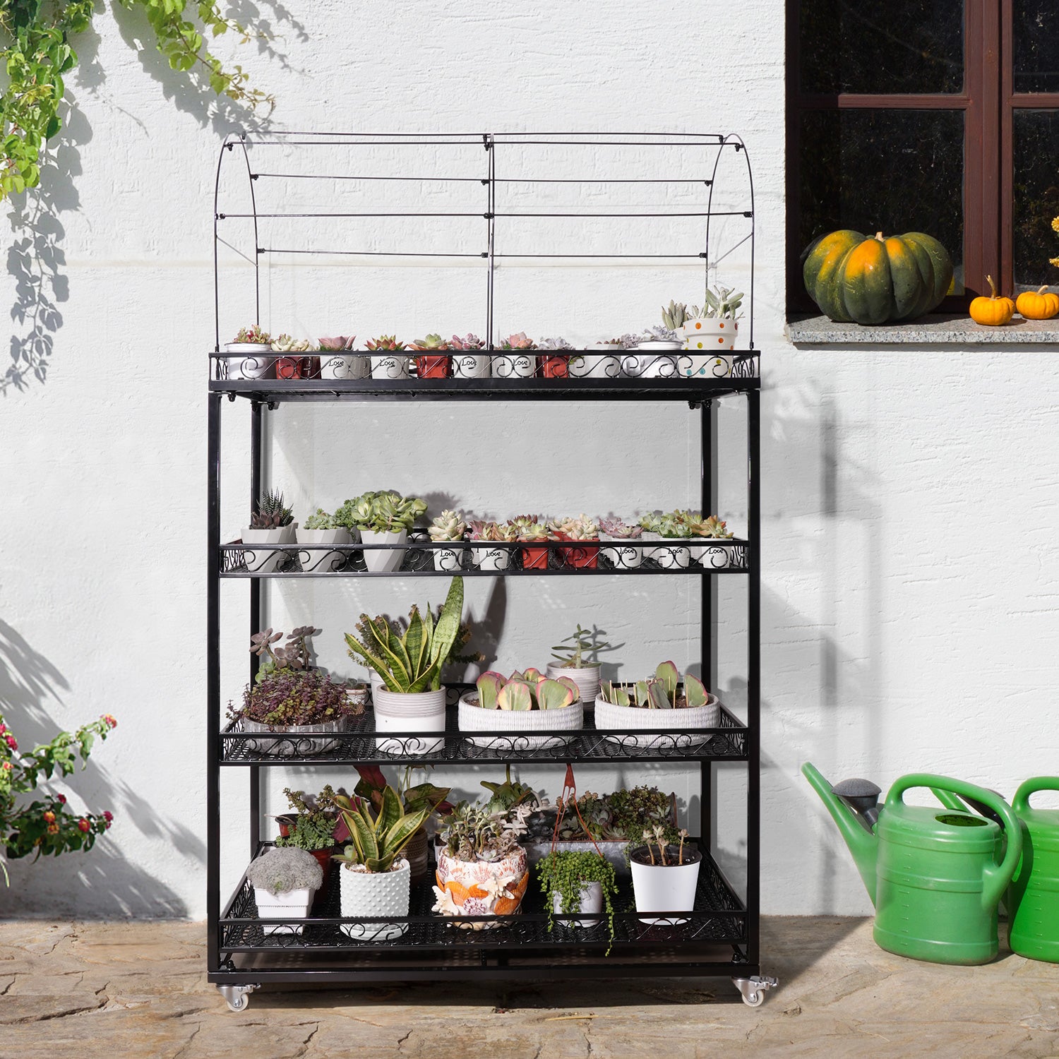 succulent stand with shade cover Professional Succulent Metal Stand