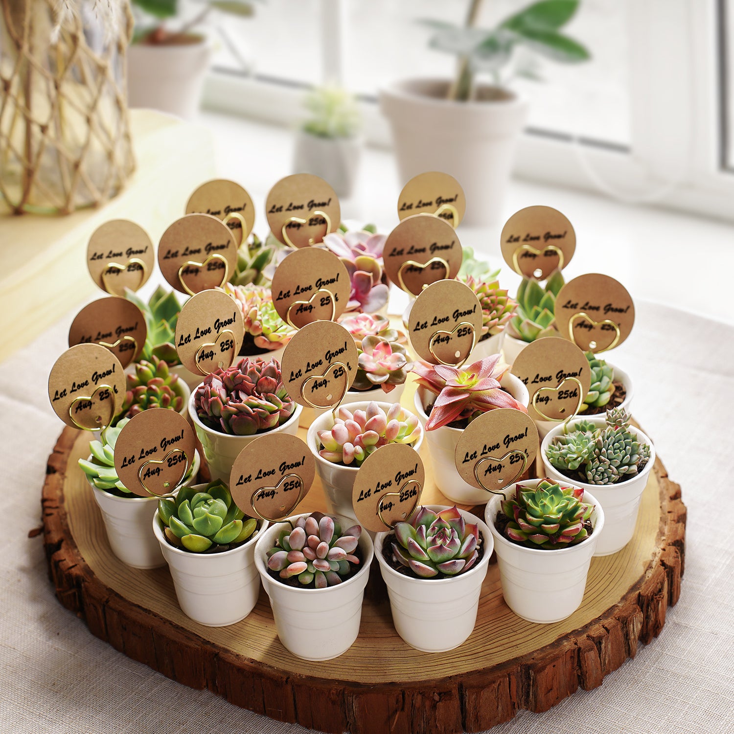 succulent party plates Chic White Ceramic Handheld Cup Succulent Favors (Tag Custom Supported)