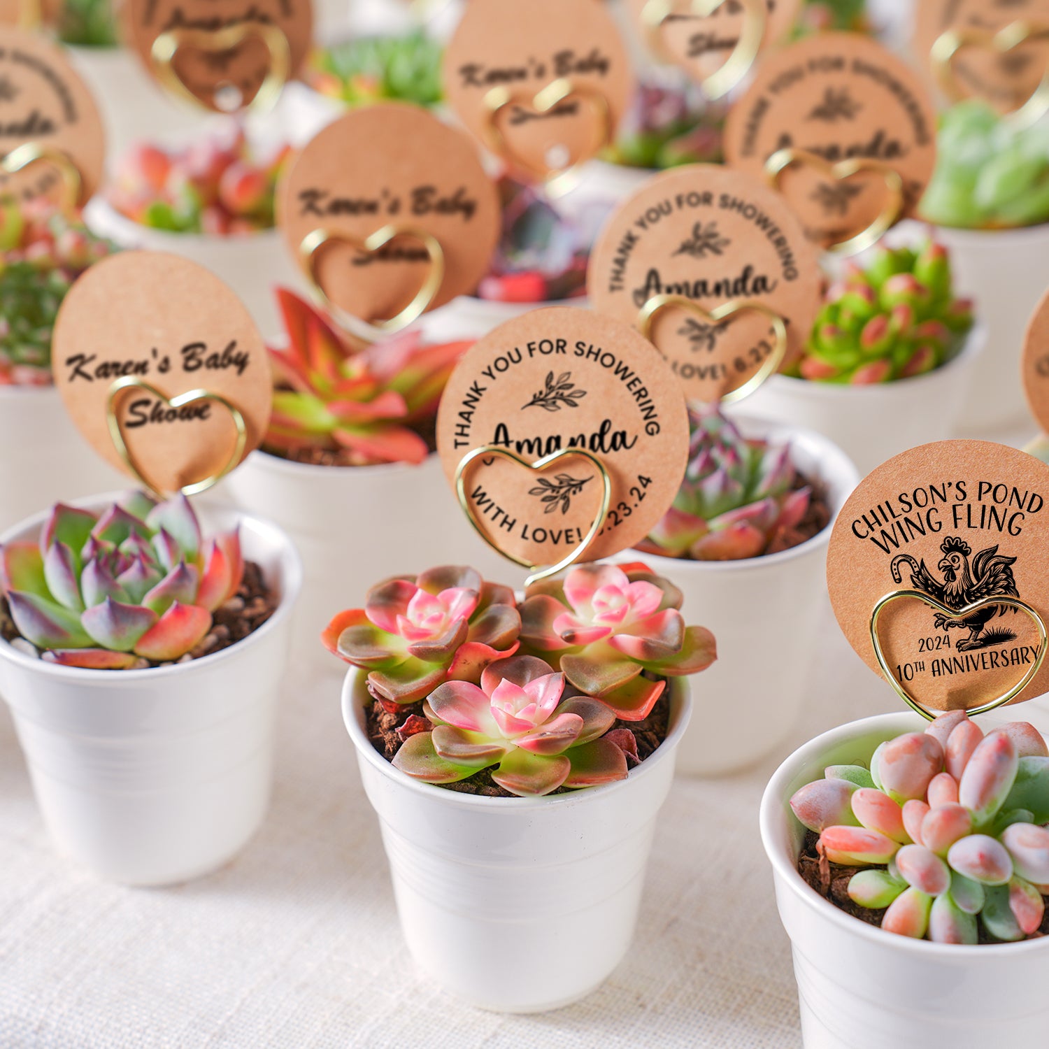 Succulent Wedding Favors Ideas Succulent Wedding Favors Ideas