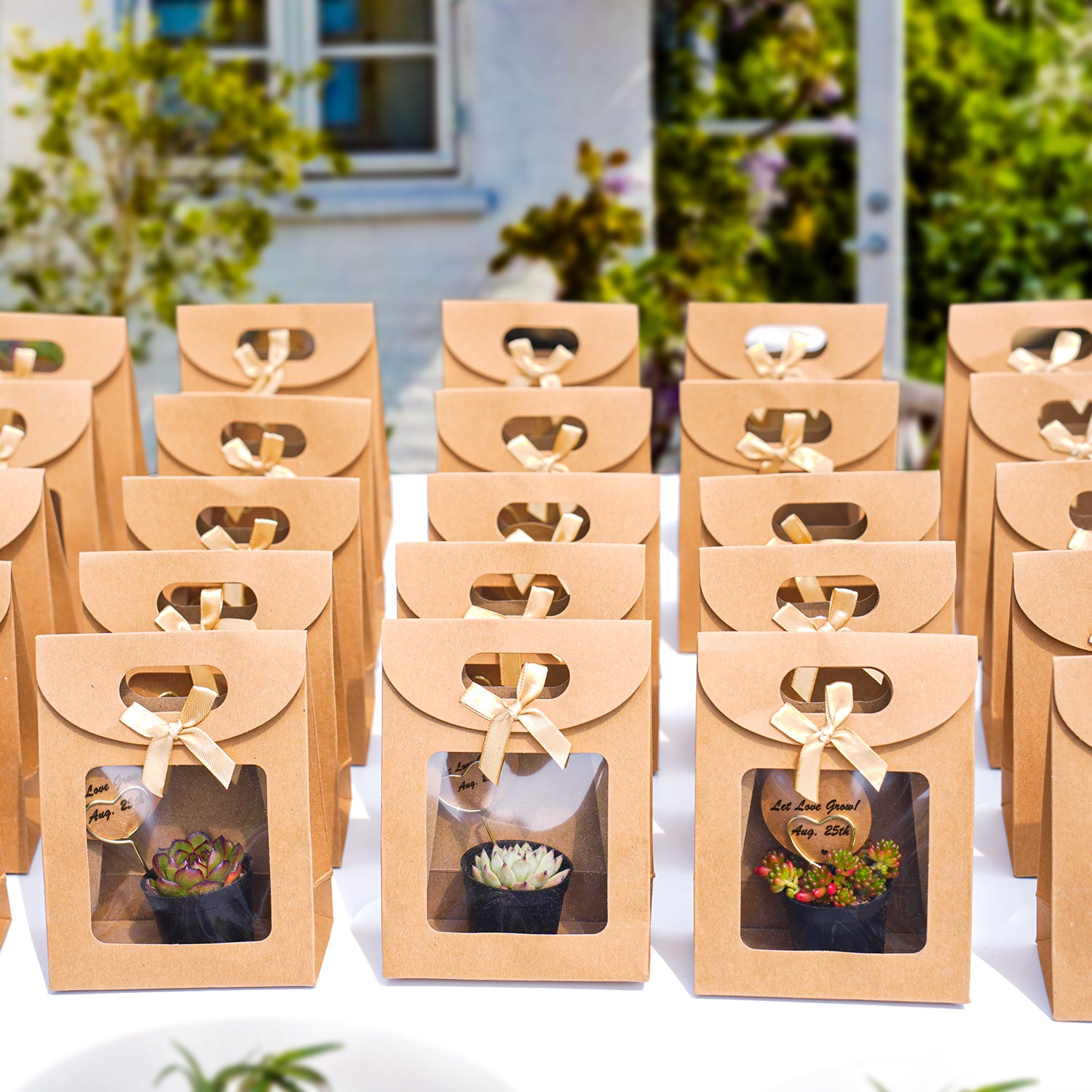 succulent bag Vintage Kraft Gift Bag Succulent Favors