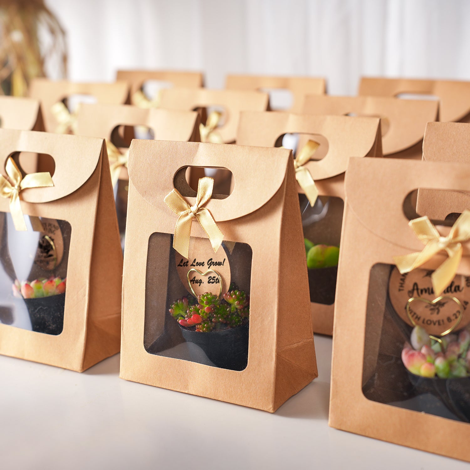 succulent gift bags Vintage Kraft Gift Bag Succulent Favors