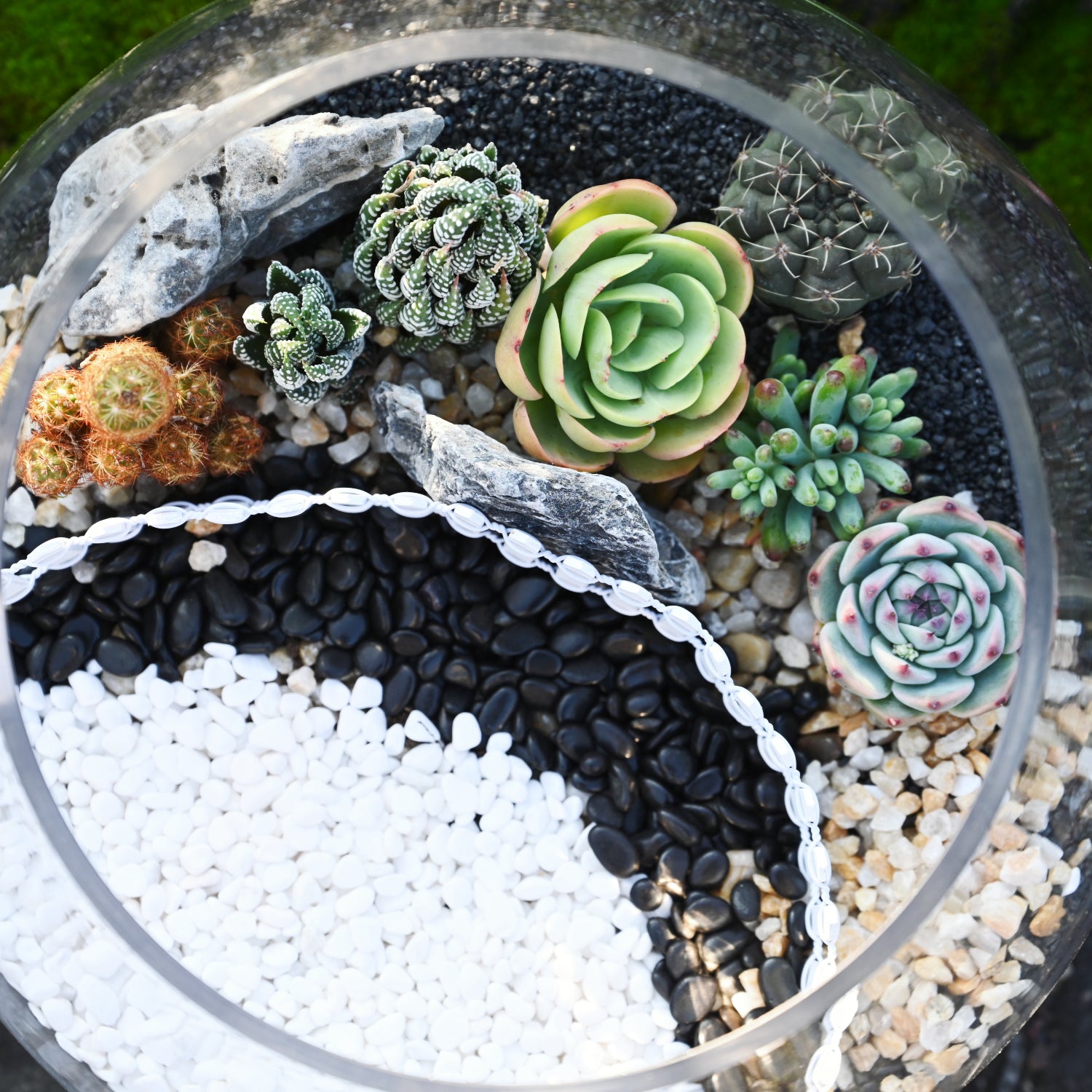 adding pebbles to potted plants Polished Pebbles for Potted Plants, Black, 9mm-12mm – Thenextgardener