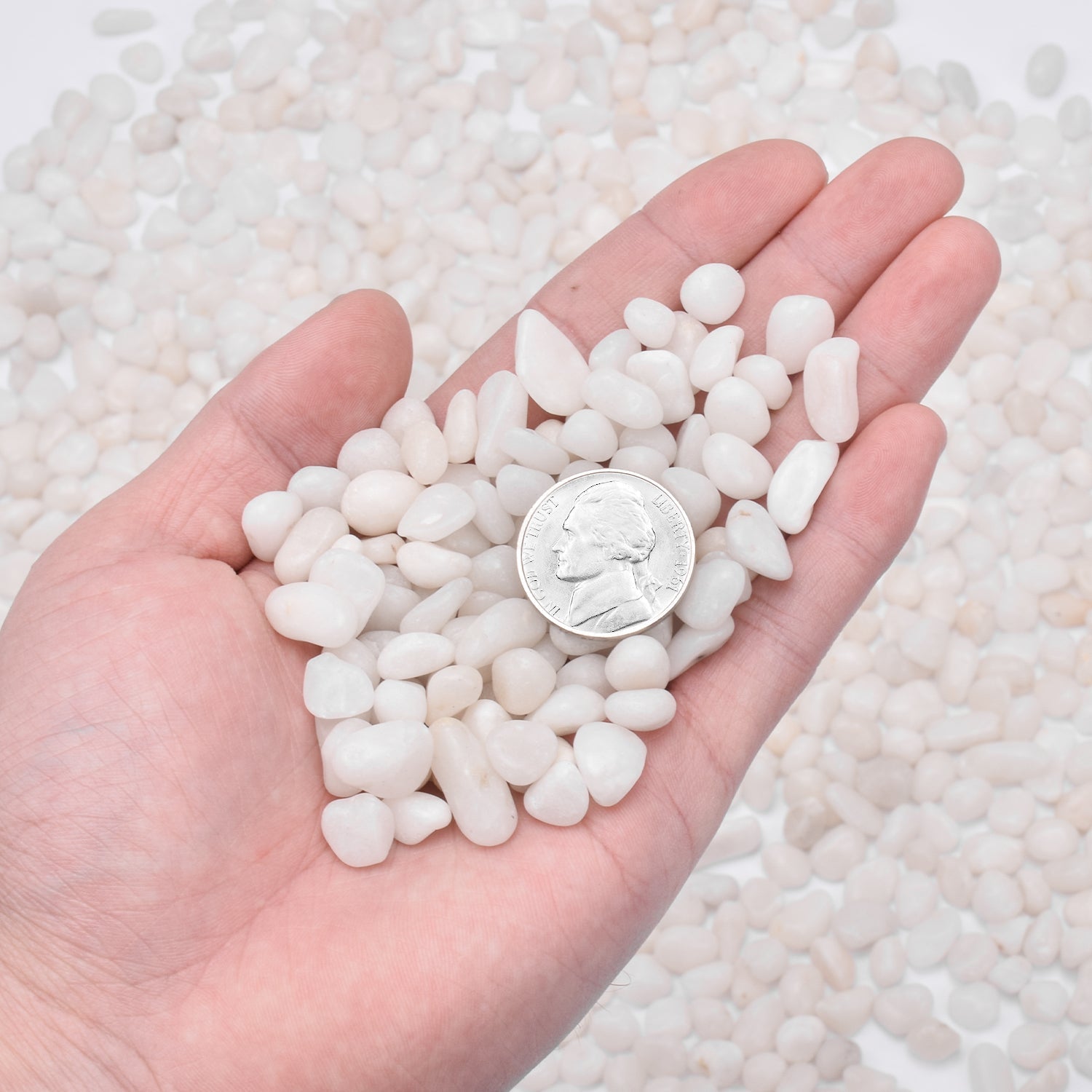 small white pebbles for succulents White Polished Pebbles for Succulents Plants Decorative, 9mm-12mm 1.5 lb