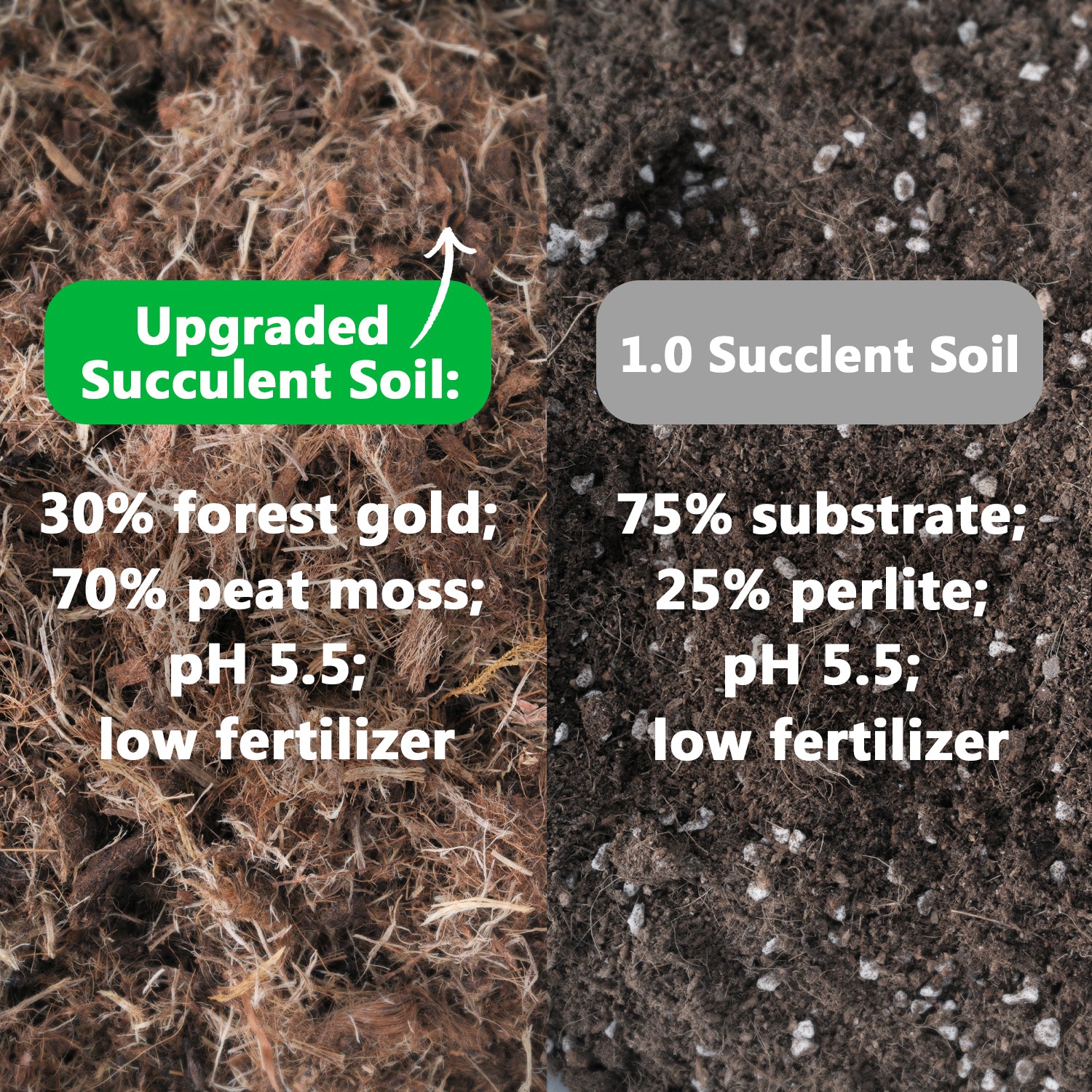 succulent upgrade Upgraded Organic Succulent and Cactus Soil 12Q