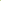 Aeonium Lily Pad