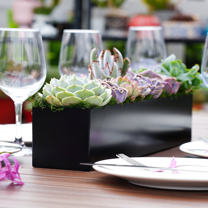 succulents in black vase 16" Succulent Centerpiece Table Decor, Black