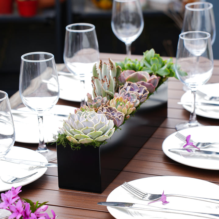 glass table with succulents 16" Succulent Centerpiece Table Decor, Black