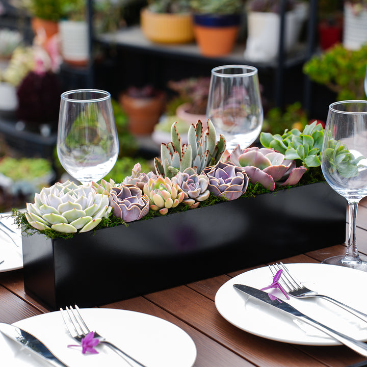 long succulent planter for table 16" Succulent Centerpiece Table Decor, Black
