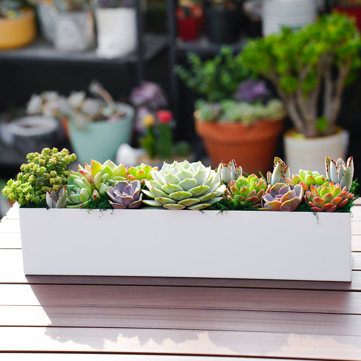 white rectangular succulent planter 16'' Succulent Centerpiece Table Decor, White