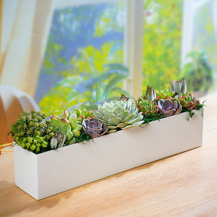 succulent plant table decorations 16" Succulent Centerpiece Table Decor, White