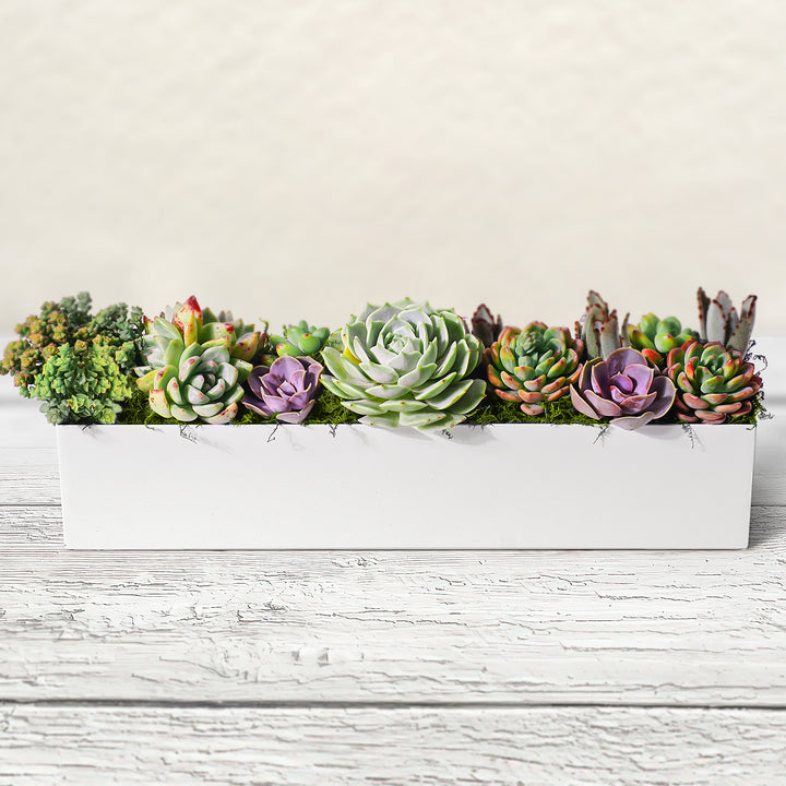 long white succulent planter 16'' Succulent Centerpiece Table Decor, White