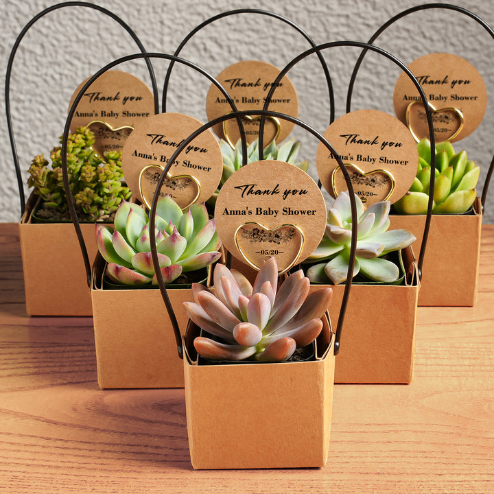 succulents international shipping Kraft Paper Succulent Favors
