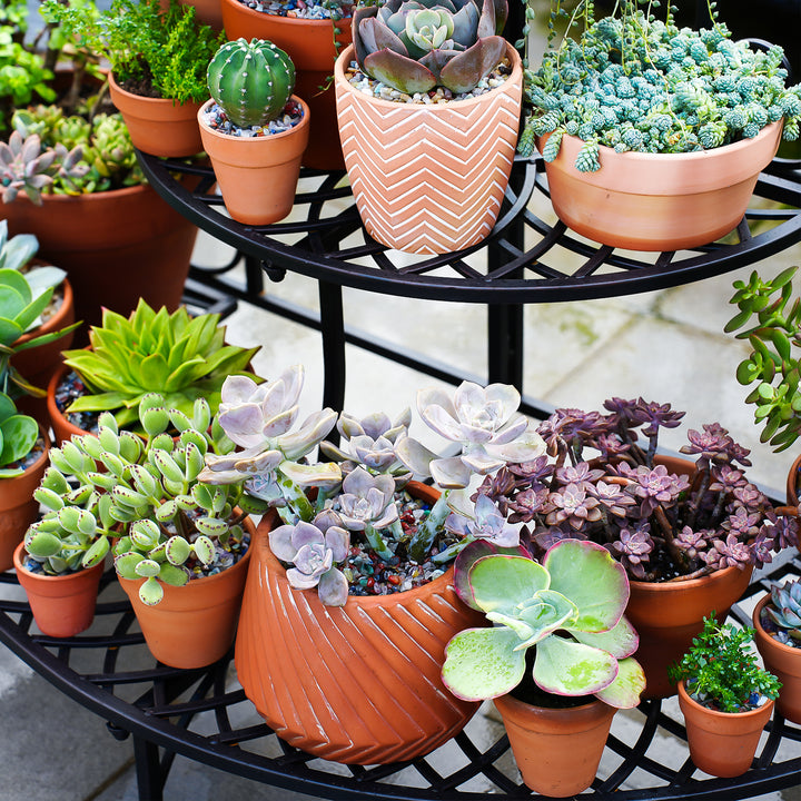tiered succulent garden 3-Tier Semicircular Outdoor Garden Shelf Patio Decoration