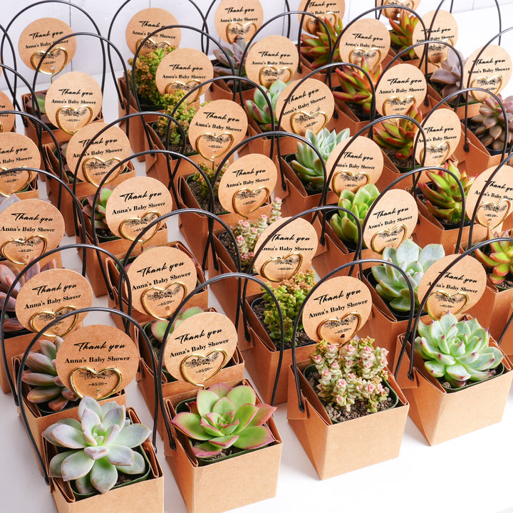 succulent return gifts Kraft Paper Succulent Favors