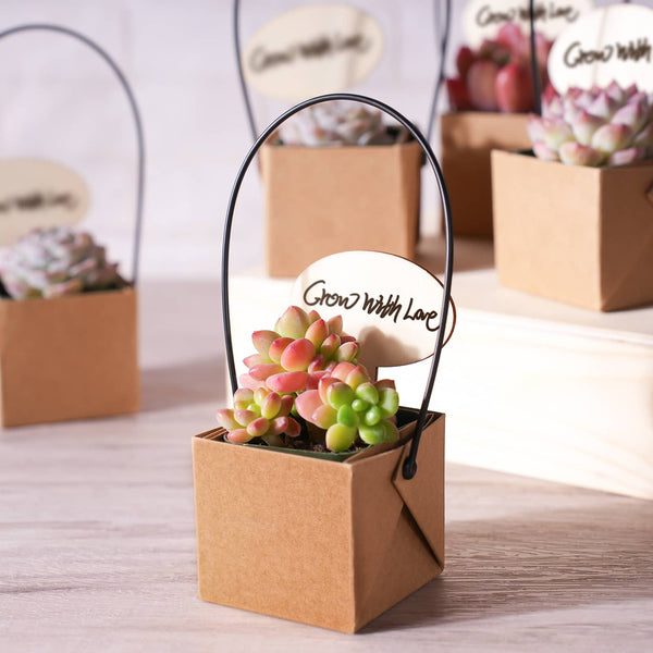 Kraft Paper Succulent Favors (Tag Custom Supported)
