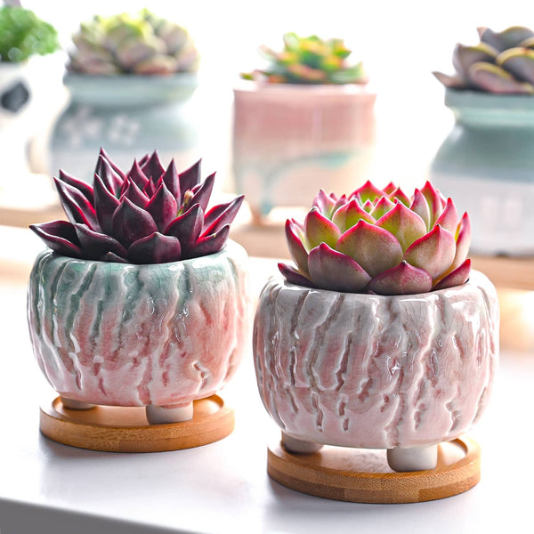 Pink Cracked Succulent Pots