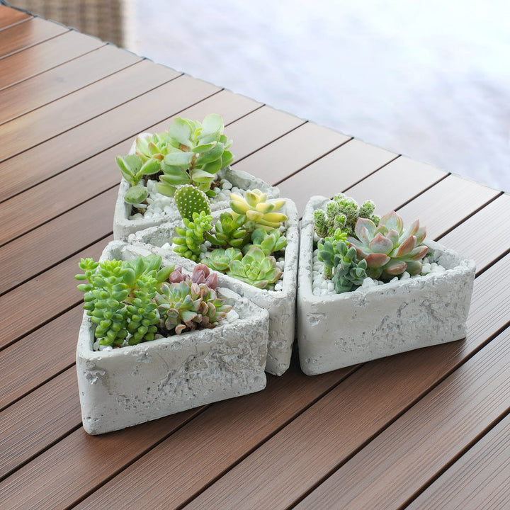 Four-Cement-Triangle-Cheese-Planters-with-succulents-are-on-the-Table.