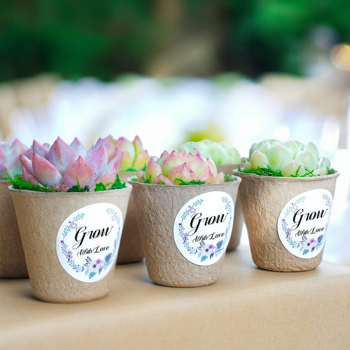 succulent paper plates Classic Delicate Paper Cup Succulent Favors