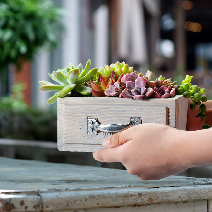 A-Concrete-Drawer-Succulent-Planter-is-on-the-hands.