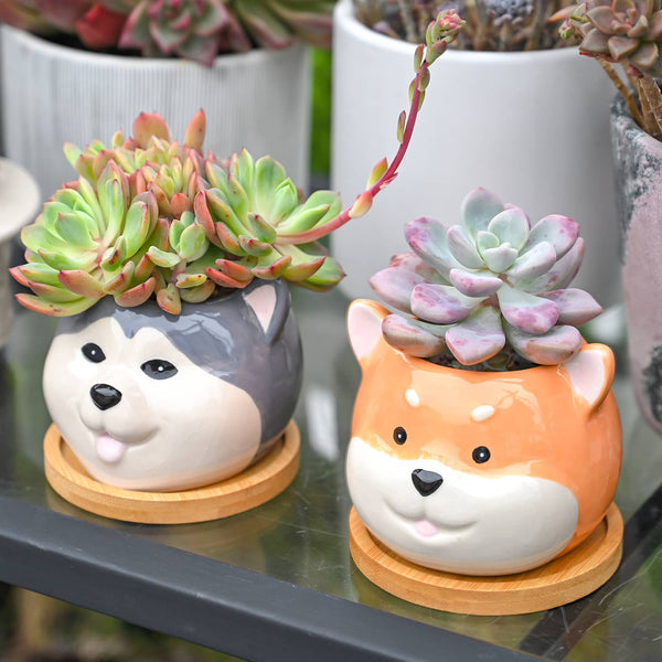 Cute Dogs Planters Hand Painted