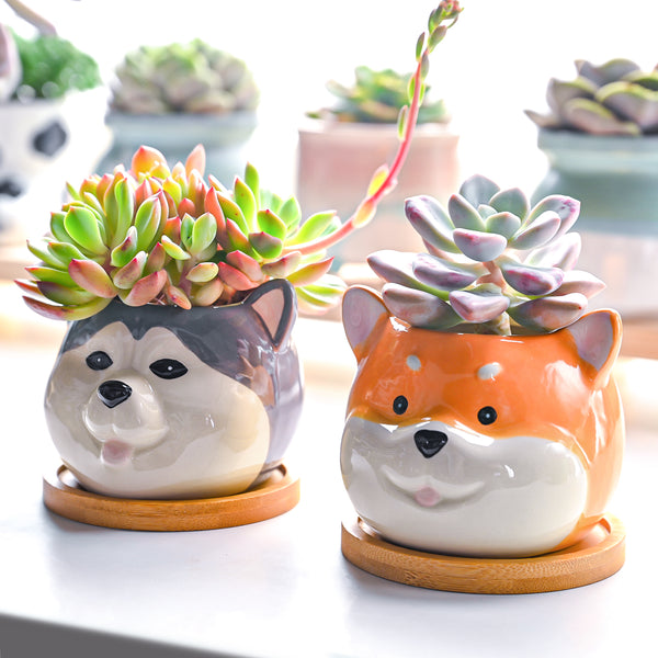 Cute Dogs Planters Hand Painted