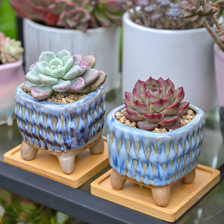 large succulent pots with drainage Drip Glazed Ice Cream Footed Succulent Pots