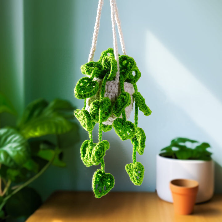 A-Hanging-Knitted-Monstera-Plants-Car-Decoration-hanging-in-the-room.