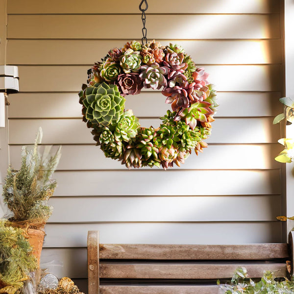 a-live-succulent-wreath-metal-frame-hanger-is-hanging-on-the-wall.