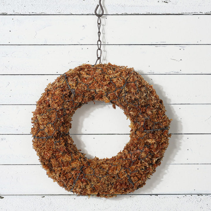 a-live-succulent-wreath-metal-frame-hanger-is-hanging-on-the-white-wall.