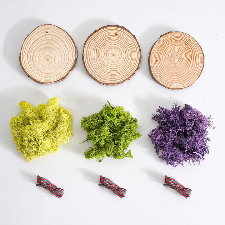 All-accessories-for-Natural-Wood-Slices-Ornaments-with-Succulents-Round-wood-chips-moss-string