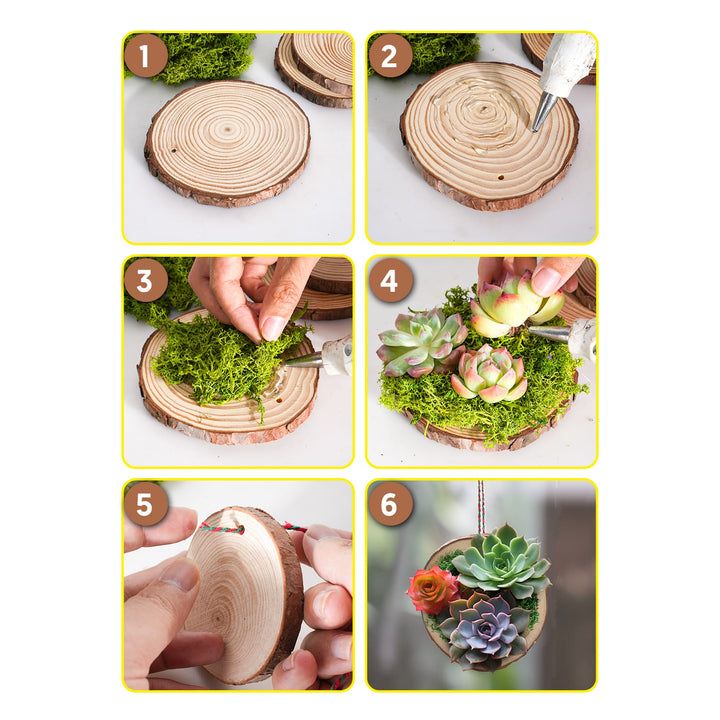 Natural Wood Slices Ornaments with Succulents